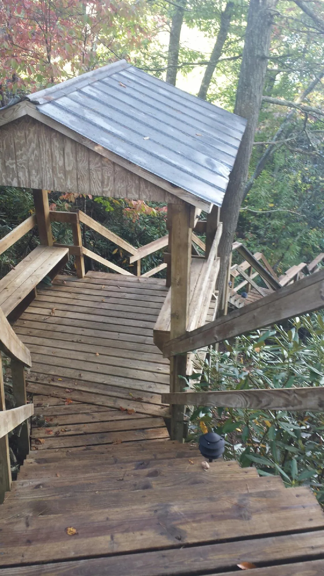 Metal roofed shelter over wooden steps on a wooded walkway — Skylight Repair & Installation work by our crew in Piney Woods