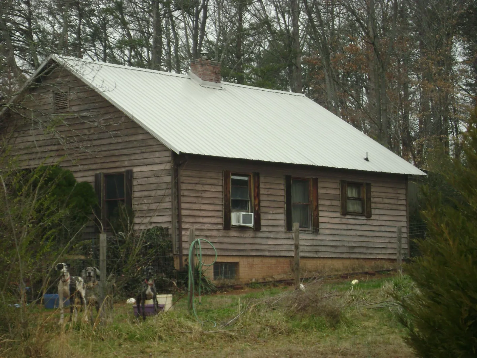 White metal roof on an old wood sided farmhouse, from a Metal Roof Installation job in Piney Woods